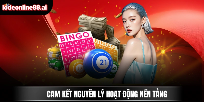 Cam kết nguyên lý hoạt động nền tảng