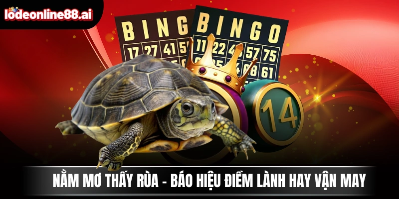 Nằm Mơ Thấy Rùa - Báo Hiệu Điềm Lành Hay Vận May 1 Nằm Mơ Thấy Rùa - Báo Hiệu Điềm Lành Hay Vận May