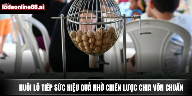 Nuôi lô tiếp sức hiệu quả nhờ chiến lược chia vốn chuẩn